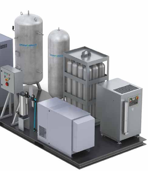 Technical specifications for PPNG skid Pneumatech variant PPNG SKID 1 PPNG SKID 2 PPNG SKID 3 PPNG SKID 4 PPNG SKID 5 PPNG SKID 6 PPNG SKID 7 PPNG SKID 8 N 2 Pressure 40 barg 40 barg 40 barg 40 barg
