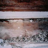 INFORMATION MODULE 7 Loose asbestos lagging Grains containing asbestos used for insulation Damaged