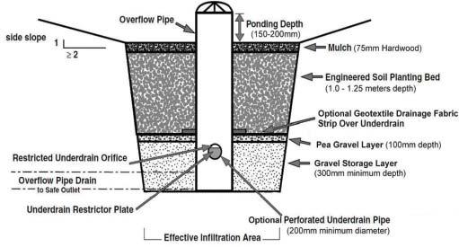 Figure 1: A cross-section detail from a bioretention area or a bioswale depending on the slope along the length of the facility.