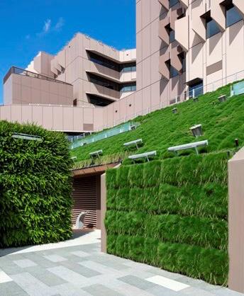 com/en/cms-projects/detail/burnley-livingroofs Lady Cilento Children s Hospital project The project was a partnership between architecture and