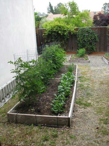 raised beds need frequent