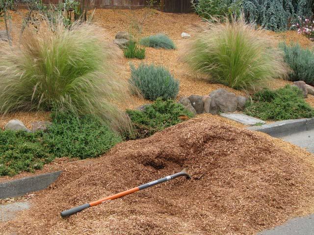 Mulch, Mulch, Mulch Reduces water loss Controls weeds Moderates soil