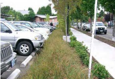 The front yard area is calculated across the entire frontage of a site regardless of interruptions, such as walkways, encroachments, or driveways.