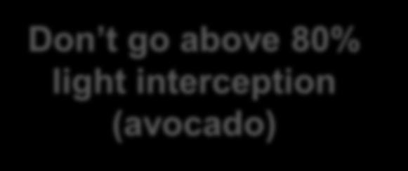 80 Don t go above 80% light interception (avocado) Fruit yield (t/ha) 20000