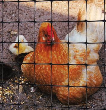 covering coops and fences for chickens, turkeys, geese and guinea