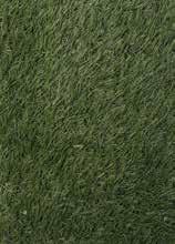 Helps Reduce Water Bills EASI SOCCER EASI SPORT EASI TURF This is our soccer grass.