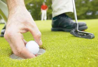 Investing in easigrass means you can have a putting green added to your normal or