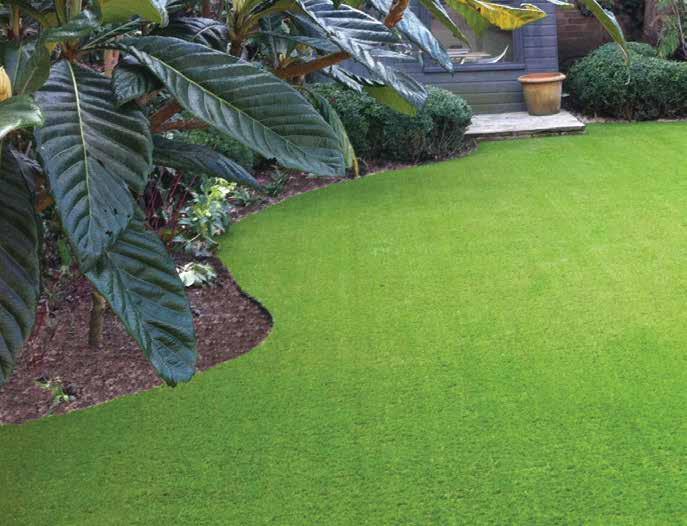 GARDENS Transform your garden into a REAL LIVING EXPERIENCE An Easigrass garden is rapidly becoming a must have, as more and more people realise the advantages of switching to