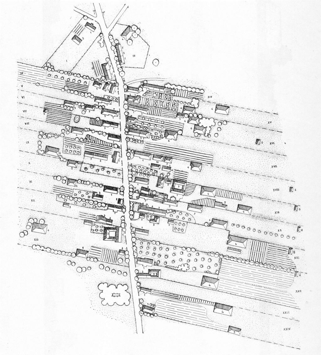 A linear village structure (Ignalina district, Mečionys village, 1965) At the time of early XXth century the Lithuanian Green Architecture has traditionally developed as a