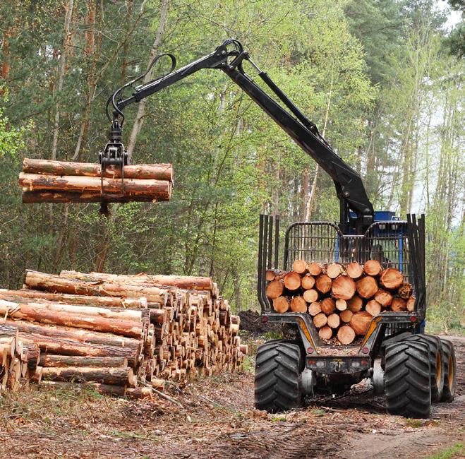 Vehicle Fire Suppression Systems for Forestry Machines. difference makes makes the thedif forrex ence Protection, detection, prevention.