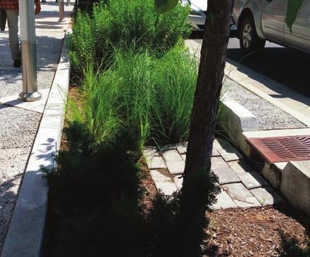 5.4.6a Urban Bioretention Variations: Planter box, Extended tree pits, Stormwater curb extensions.