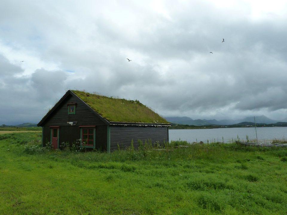 MITIGATING THE IMPACTS OF Green Roofs