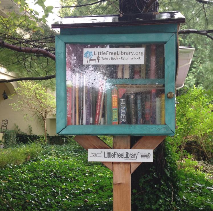 Homeowners can choose to install one of the following in their front yard for public use: Little Free Library (pictured); bench; swap box; or community notice board.