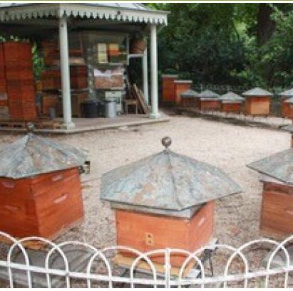 beekeeping, and creating pollinator habitats.