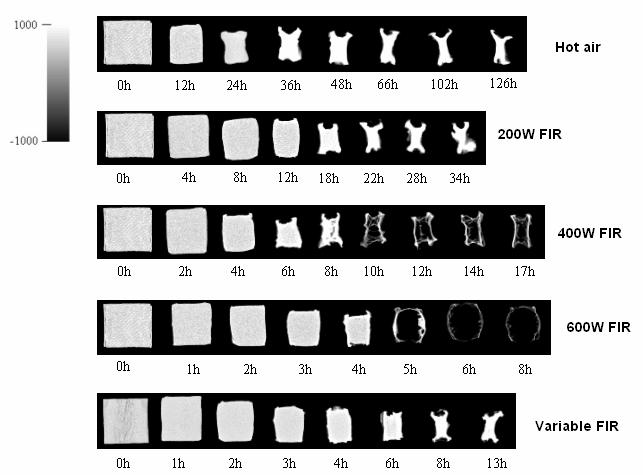 International Journal of Renewable Energy, Vol. 7, No. 2, July - December 2012 37 3.2. CT image analysis The changes of CT image of the test materials in each experiment are shown in Figure 7.