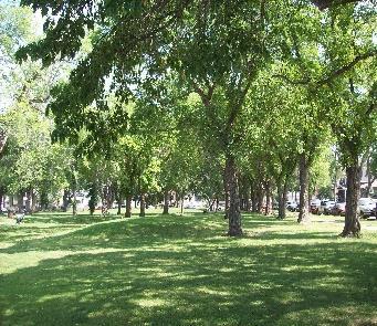Park Features Identifying separate features within public parks is one way of creating standards that can be used to compare all parks.
