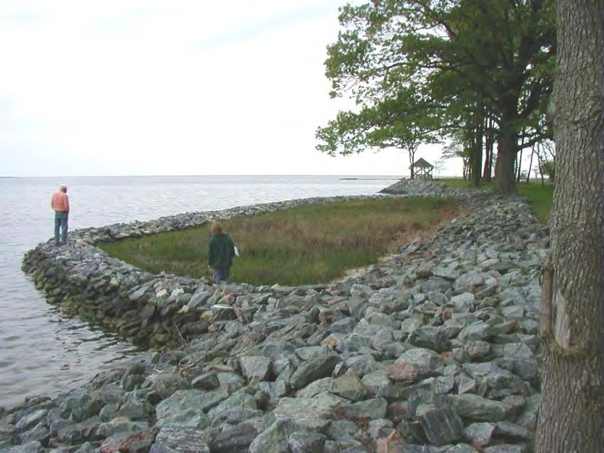 Performance Assessment Duhring et al 2006 While approved as a living shoreline project, this example is not consistent with Code of Virginia definition 2006 study led to 2010