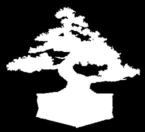 We want to hear from all of you, bring in a tree, a list of questions and be ready to hear answers from dozens of experienced artists. Bonsai for beginners is perfect for this time of the year.