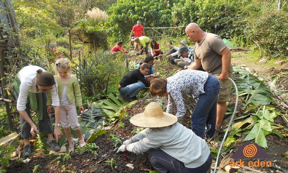 Its mission is to cultivate permaculture principles in Hong Kong through educational programs and demonstration of sustainable, resilient, locally based systems of living, in order to safeguard and