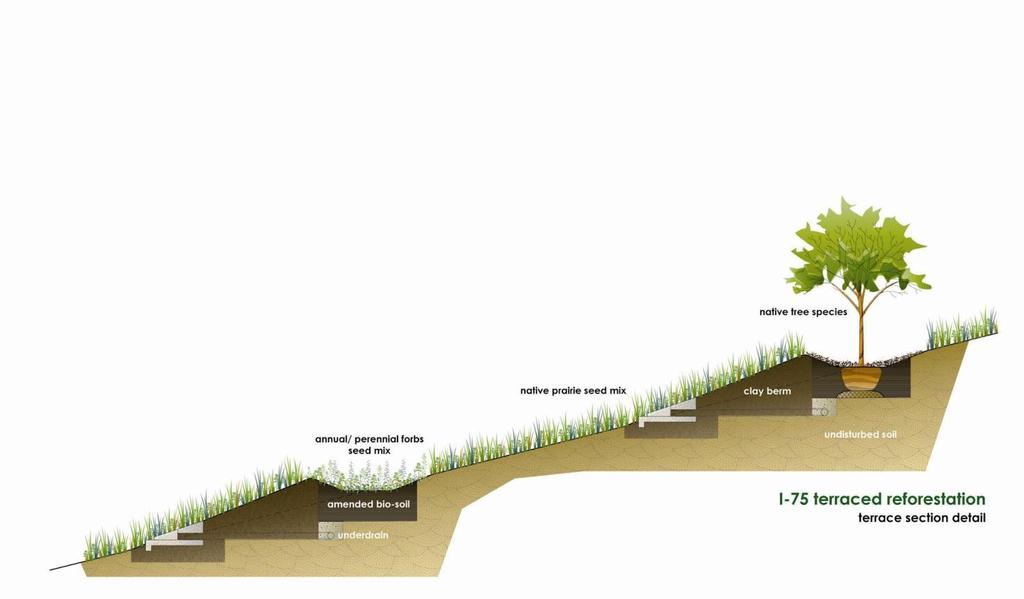 Final Design Elements Bioretention 12 Linear cells, 4,900 ft total Soil mix (3,800 cys) Underdrain system Erosion / sediment