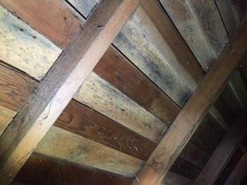 3. Ventilation Roof surface vents present. Attic appeared inadequately vented.