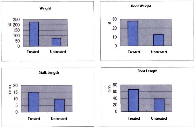 Post Harvest Result Comparison Weight (g) Root Weight (g) Stalk Length