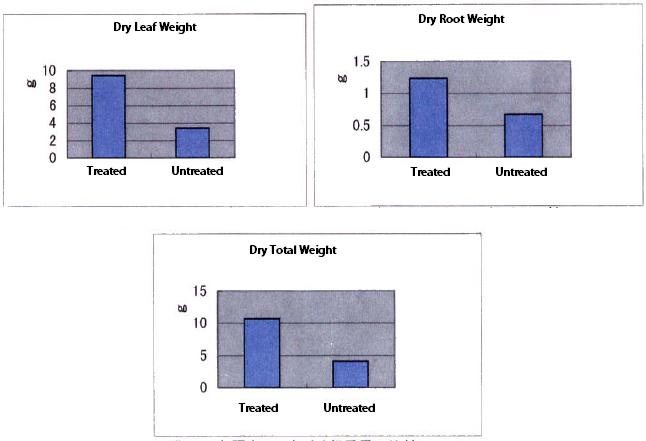 Dry Weight Comparison Leaf Weight (g) Root Weight (g)