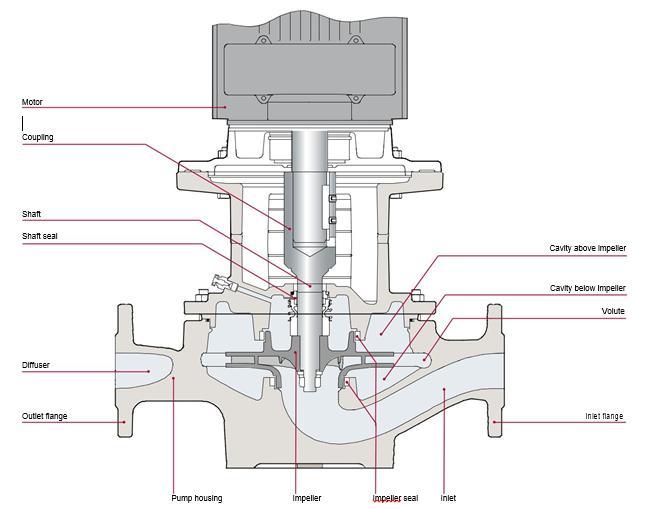 the fluid through the rotating impeller. The fluid flows from the inlet to the impeller center and out along its blades.