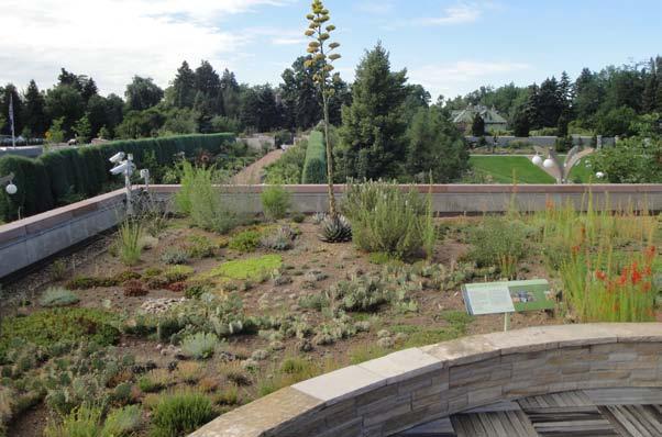 GREEN ROOF PLANT TRIALS 2011 DENVER BOTANIC GARDENS HISTORY The Denver Botanic Gardens Green Roof, built in November 2007, is the first green roof on a city-owned building in Denver.