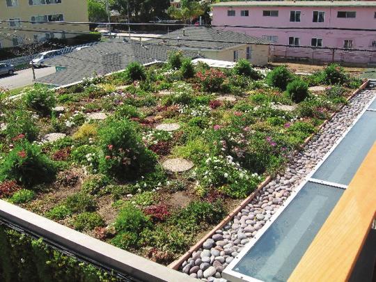 agreement that one of the solutions without adverse side effects (if properly implemented) is the solution green roofs or roof gardens.