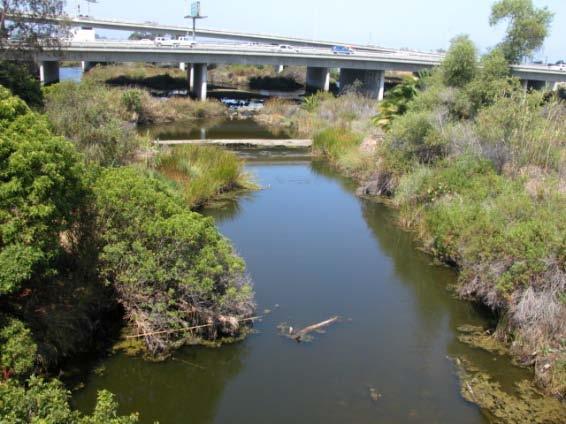 I. Introduction The San Diego River Coalition was formed to bring together the numerous non-governmental organizations interested in the future of the San Diego River.
