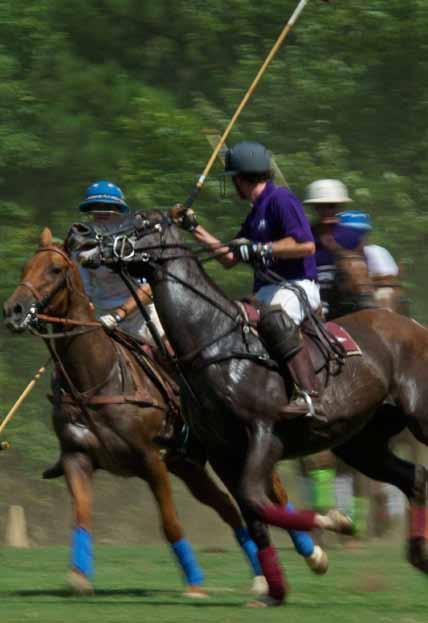 Whether to attend one of our wonderful concerts, Sunday Polo matches, a non-profit fund-raiser, corporate
