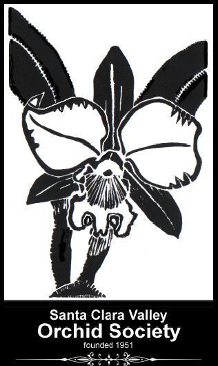 Santa Clara Valley Orchid Society Established 1951 Helping You to Become a Better Grower June 2012 Newsletter June Meeting- Wednesday June 6th JUNE PROGRAM: Our June program is a panel of experienced