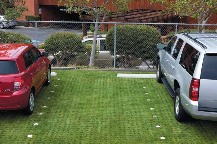 PLANTED PARKING Designed for daily use! DRIVABLE GRASS is the premier plantable paving system for daily parking.