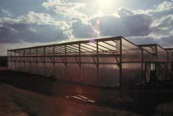 For Greenhouse Tomatoes A Spreadsheet Approach to Fertilization Management for Greenhouse Tomatoes All