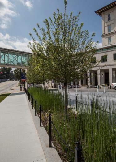 Green Infrastructure can compete for space Creativity with site layout Upfront coordination between Civil, LA, and Architect Dual purpose practices: permeable