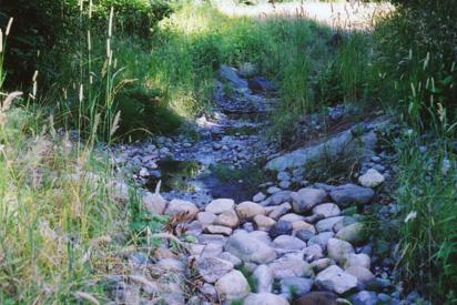 Daylighted watercourses and