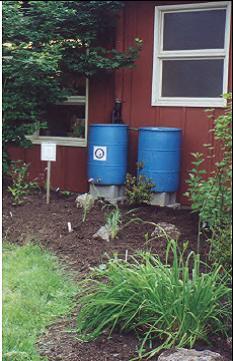 M-1: Rainwater Harvesting (Cisterns & Rain Barrels) Intercept