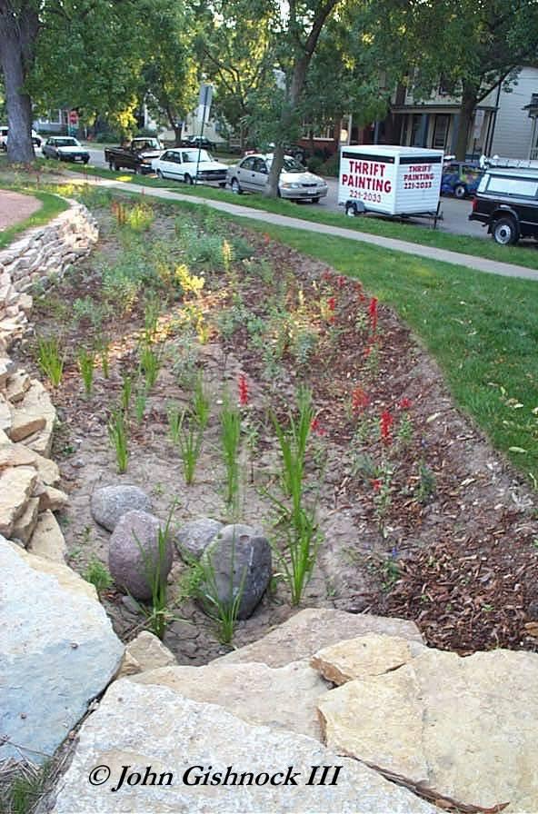 M-7: Rain gardens Shallow excavated landscape feature or saucer shaped depression that