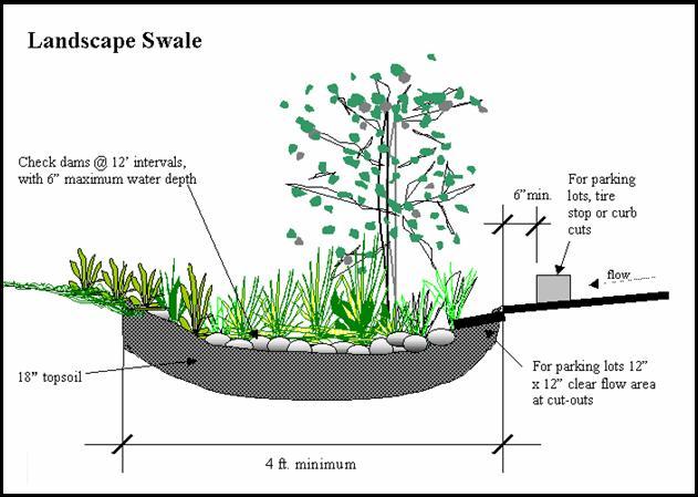 sedimentation, biological uptake, & infiltration into soil media 3 design