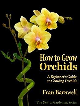 How To Grow Orchids: A