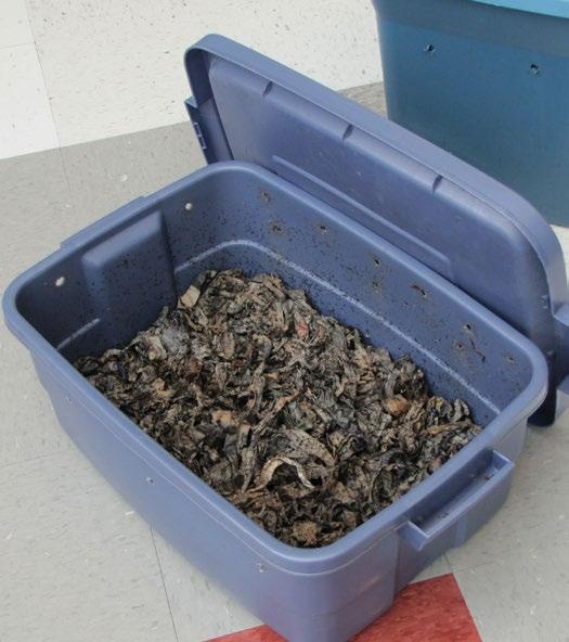 If it is hot and you need to cool the worm bin, mix in some dry bedding or put ice in a container and place it in your bin.