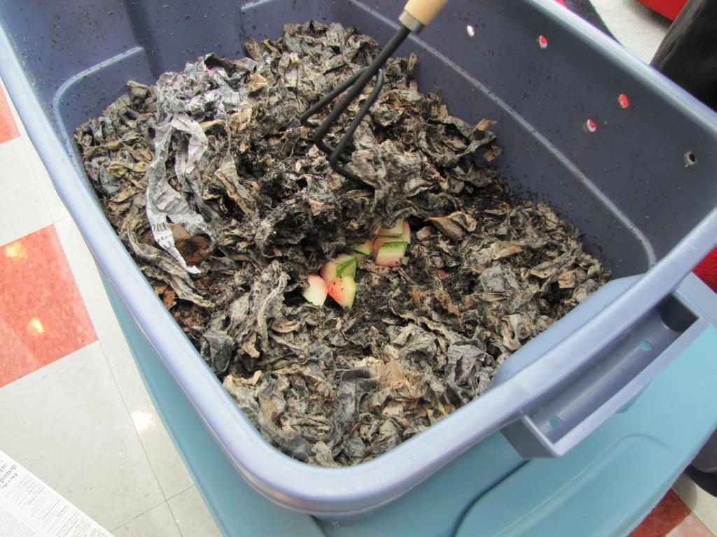 Composting Worms. It is important to use the type of earthworms that will thrive in a worm bin.