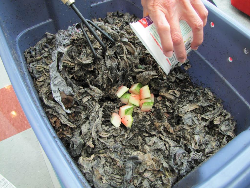Of those, only one species of earthworm is used for vermicomposting by most people worldwide: Eisenia fetida (common name: red wiggler).