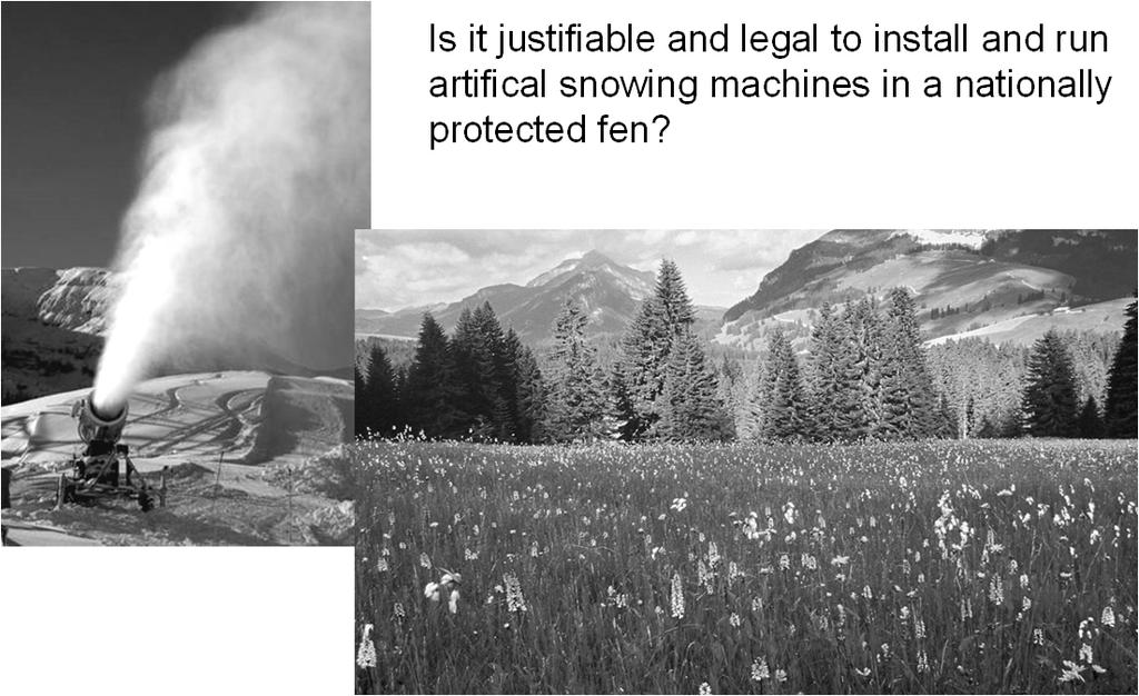 Example 4: Ecological impact assessment (EIA) Is it justifiable and legal to install and run artifical snowing machines in a nationally protected fen?