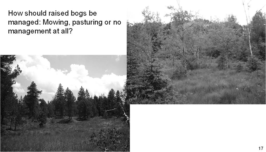 Example 3: Management of raised bogs How should raised
