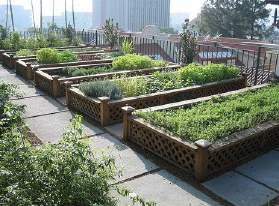 Integrate rooftop gardens and urban farming