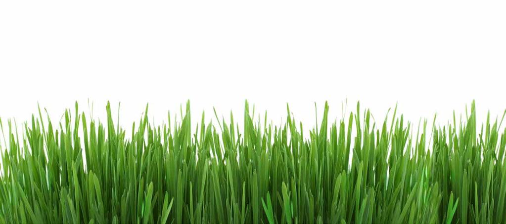 Knox Fertilizer products lead the lawn-and-garden plant food industry in consistent performance, quality and reliability.