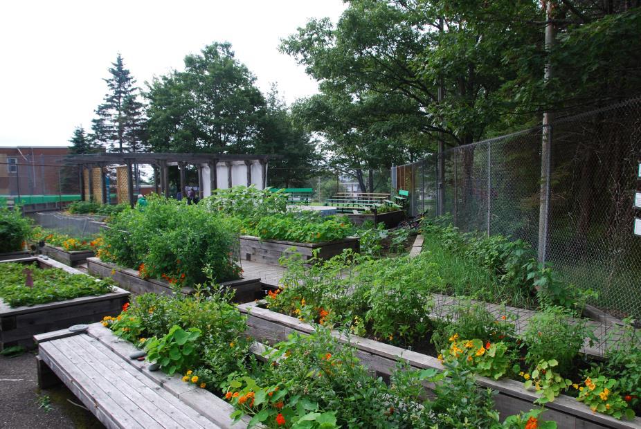 Alternate Community Garden Locations Before you apply to create a community garden on municipally-owned property, you may wish to look at what space other organizations and institutions are offering