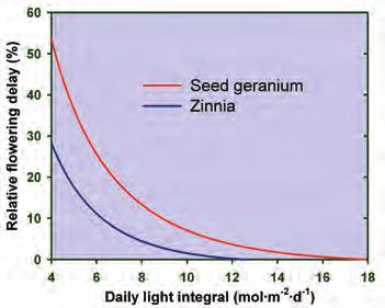 The estimated saturation DLI for the shortest time to flower was 18 mol m ² d ¹ for geranium and 12.5 mol m ² d ¹ for zinnia.